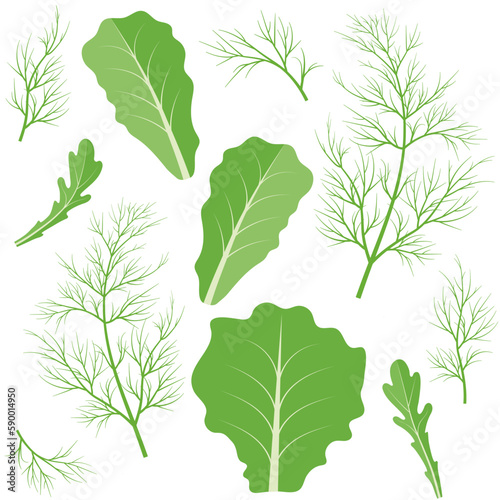 Seamless pattern of greens - dill, arugula, lettuce leaves, on a white background. Healthy food, organic products.