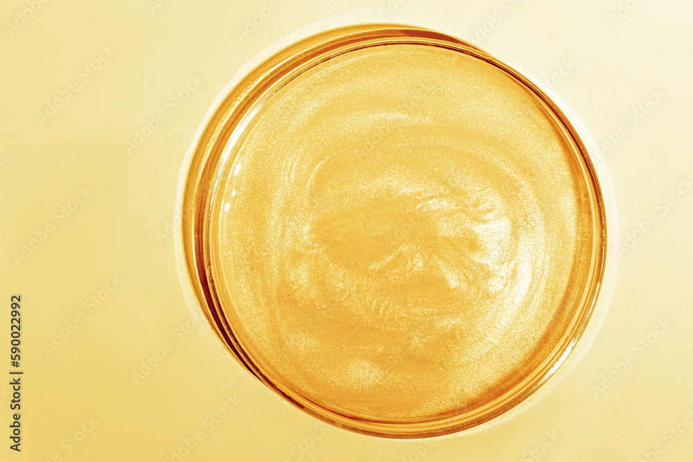 Liquid gold Or yellow liquid with sparkles. In a Petri dish. Laboratory research of cosmetics, gel, medicine. Chemistry Liquid gold Or yellow liquid with sparkles. In a Petri dish. Laboratory research of cosmetics, gel, medicine. Chemistry