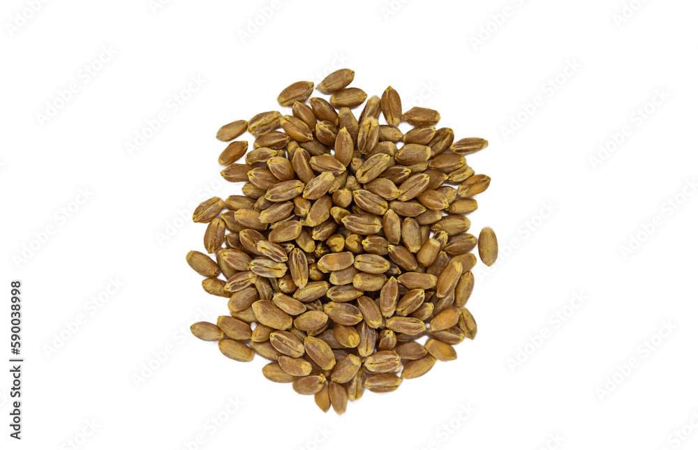 Seeds wheat isolate on white background. Selective focus.