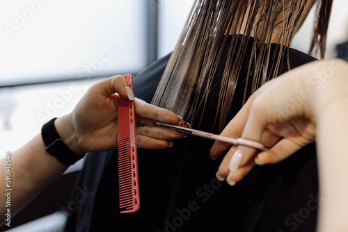 Cropped photo of woman beautician trimming tips of long wet hair of client with scissors, holding comb in beauty salon.