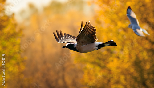 Bird over sunny autumn background
