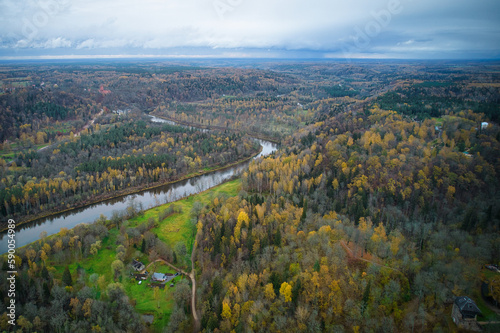 Above aerial shot of green pine forests and yellow foliage groves with beautiful texture of golden treetops. Beautiful fall season scenery in evening. Mountains in autumn colors in golden time