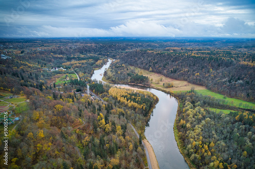 Above aerial shot of green pine forests and yellow foliage groves with beautiful texture of golden treetops. Beautiful fall season scenery in evening. Mountains in autumn colors in golden time