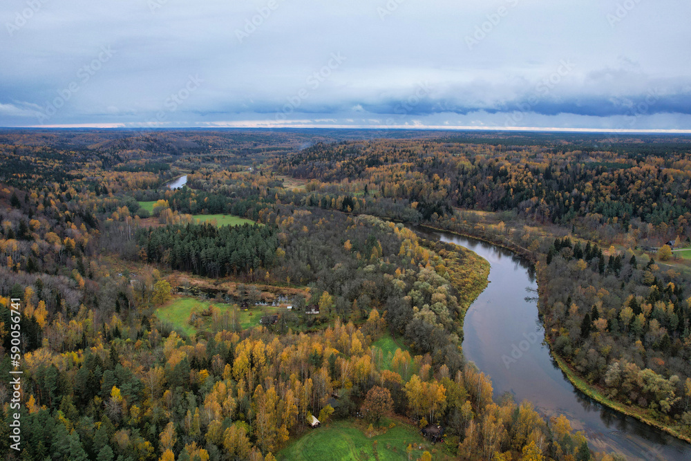 Above aerial shot of green pine forests and yellow foliage groves with beautiful texture of golden treetops. Beautiful fall season scenery in evening. Mountains in autumn colors in golden time