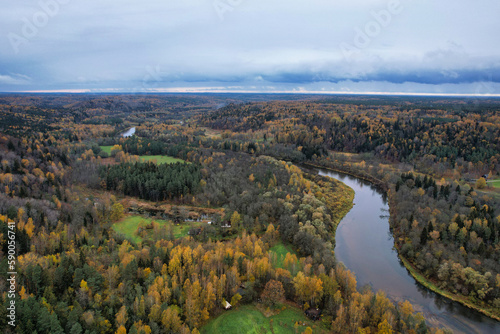 Above aerial shot of green pine forests and yellow foliage groves with beautiful texture of golden treetops. Beautiful fall season scenery in evening. Mountains in autumn colors in golden time