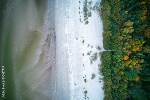 Above aerial shot of green pine forests and yellow foliage groves with beautiful texture of golden treetops. Beautiful fall season scenery in evening. Mountains in autumn colors in golden time