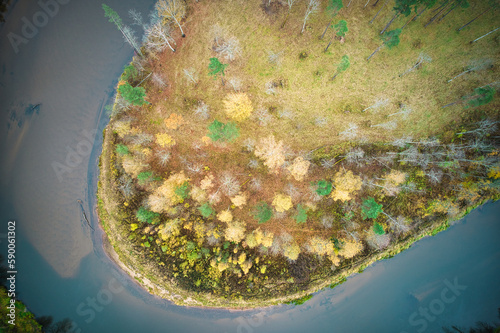 Above aerial shot of green pine forests and yellow foliage groves with beautiful texture of golden treetops. Beautiful fall season scenery in evening. Mountains in autumn colors in golden time