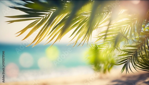 Tropical paradise with beach, ocean, palm leaves and boke