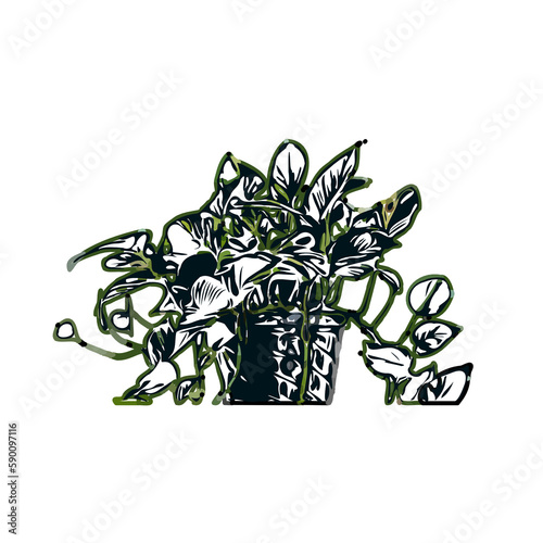 Wallpaper Mural Color sketch of ornamental plants with transparent background Torontodigital.ca