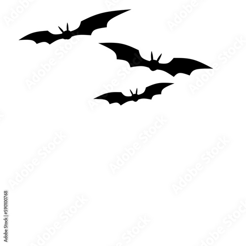 silhouette flying bats