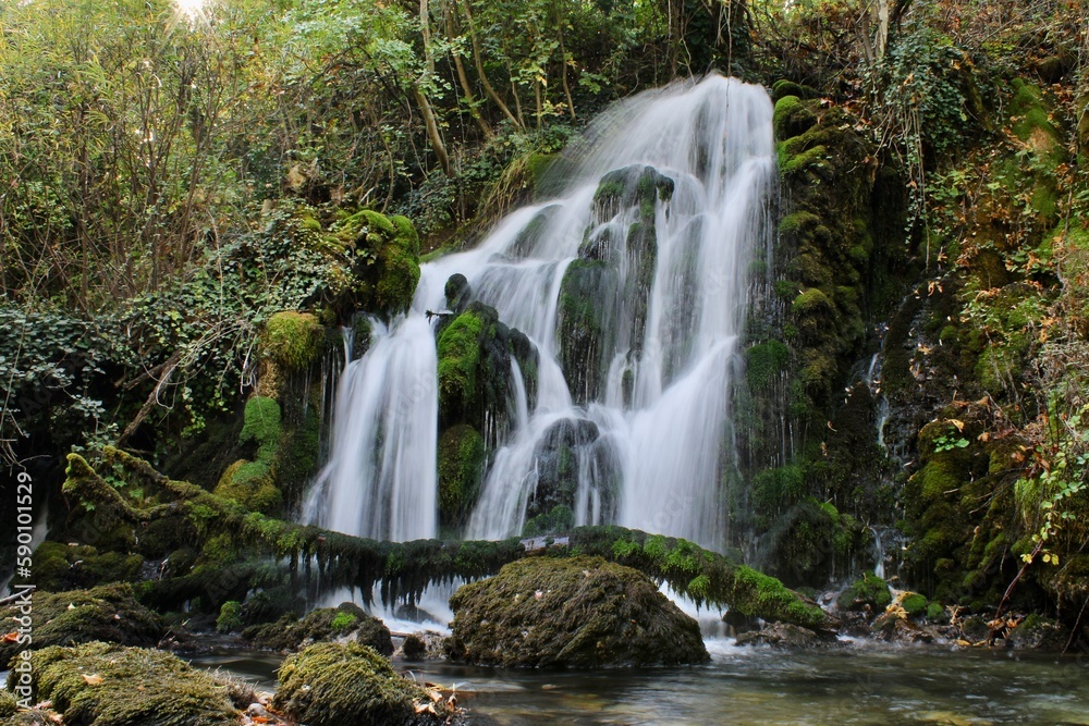 waterfall in the forest