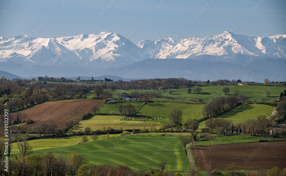 Beautiful spring landscape in the Gers department in the southwest of France , with snowy Pyrenees mountains