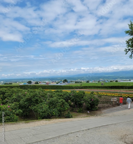 landscape with road