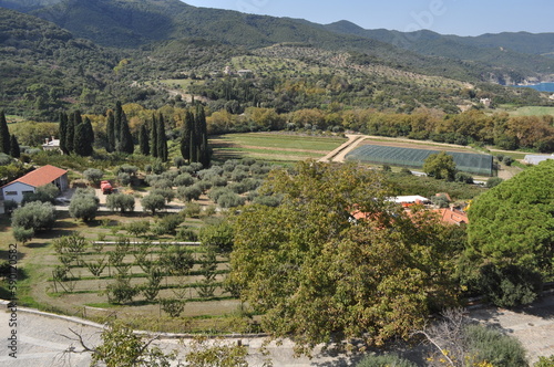 The Monastery of Vatopedi is a monastery built on Mount Athos
 photo