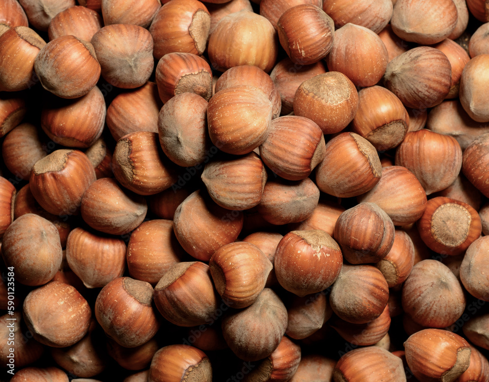 closeup of beautiful hazelnuts for banner background