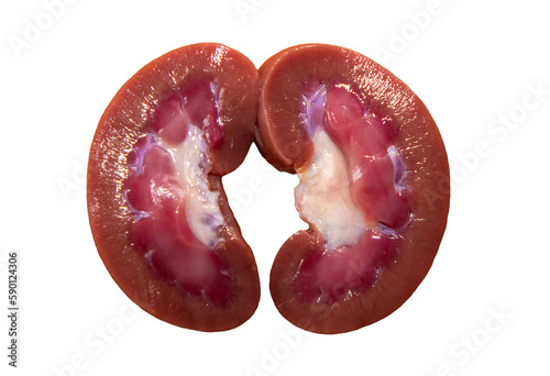 A kidney cut in two on a white background