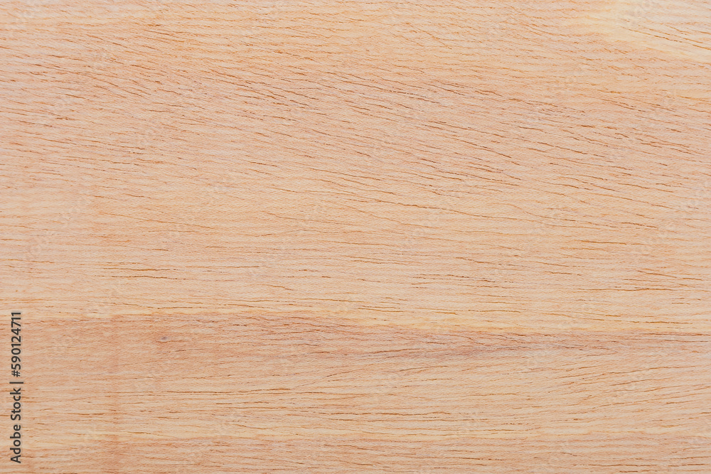 Light rough textured cut surface of an African tree. Wood background or blank for design Light rough textured cut surface of an African tree. Wood background or blank for design
