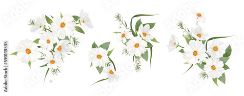 White cosmos, wax flowers and greenery leaves bouquet. Elements set. Editable...