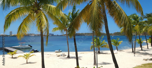 palm trees on the beach © SethMakai