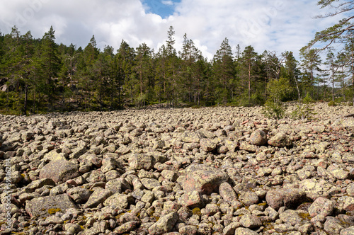 Lots of stones - stone field in the forest in Skuleskogen National Park, Sweden