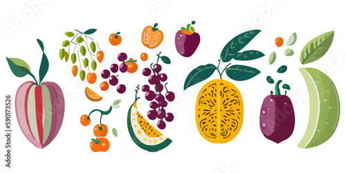Fototapeta Naklejka Na Ścianę i Meble -  Monochrome Fruit Illustration Pack