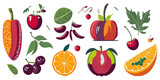 Juicy Summer Fruits Illustration Kit