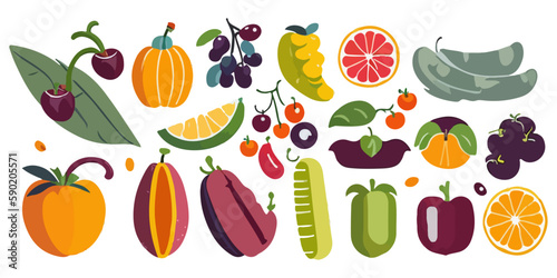 Delicious and Juicy Fruit Illustrations in Vector Format
