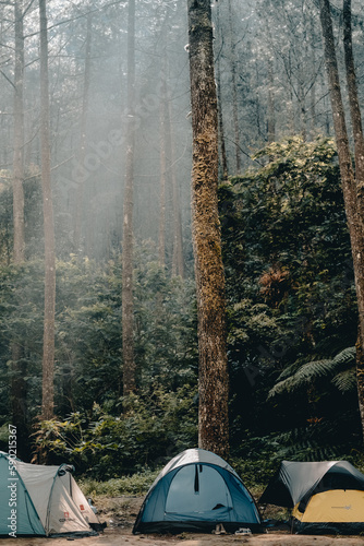 camping in the forest