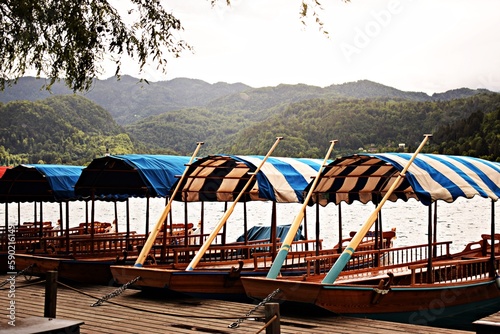 Bled Lake