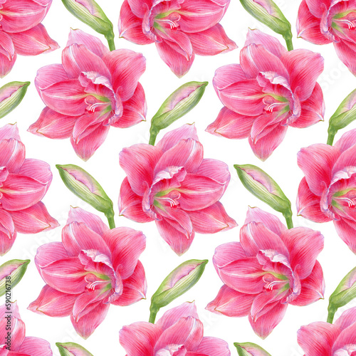 Watercolor illustration of seamless pattern with amaryllis flowers.