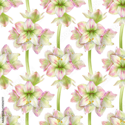 Watercolor illustration of seamless pattern with amaryllis flowers.