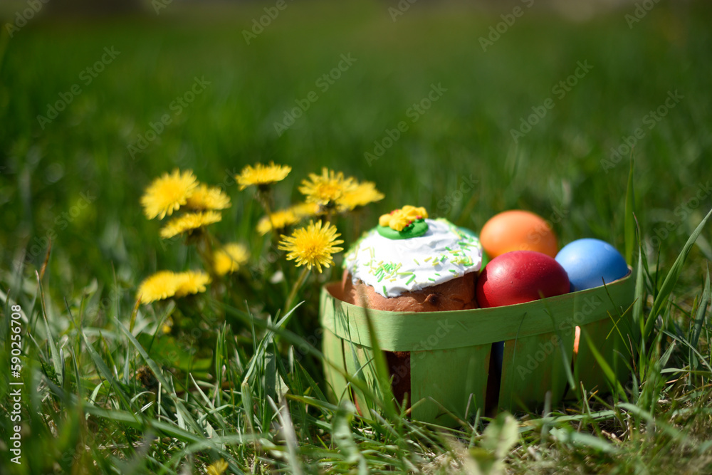 Easter holiday. Easter cake and colorful painted eggs in basket on green grass with yellow flowers. Copy space