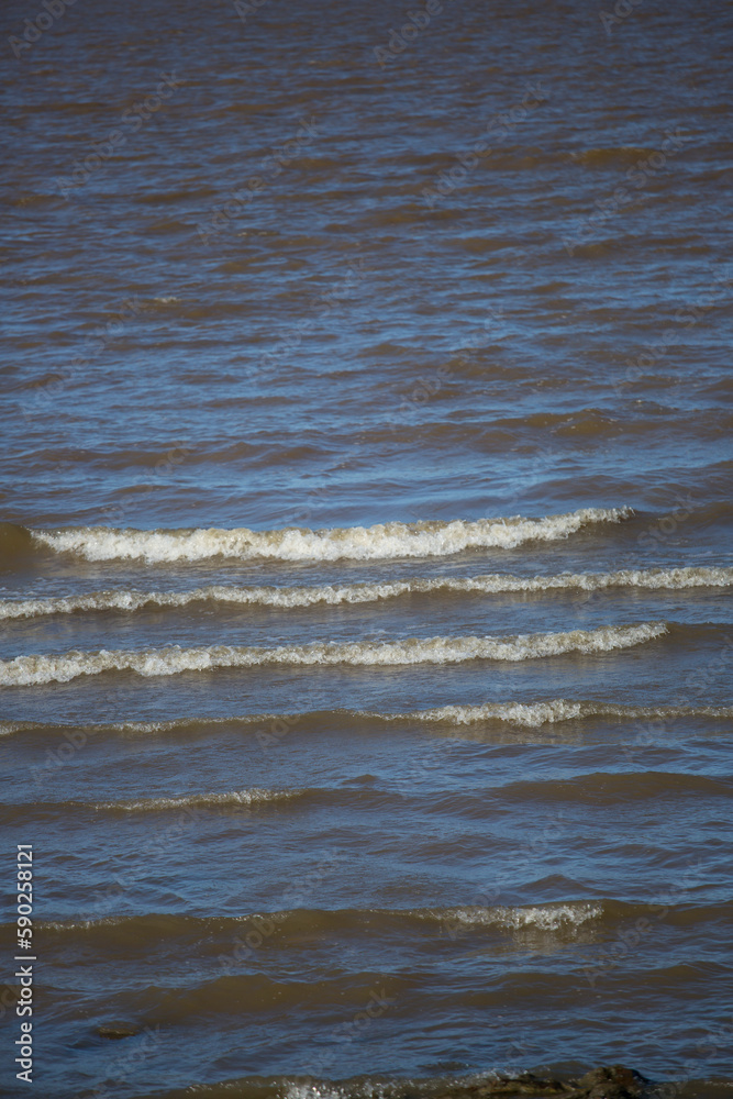 olas olas