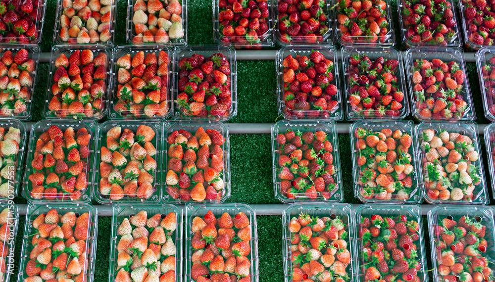 Strawberries in several plastic boxes laying on green artificial grass.