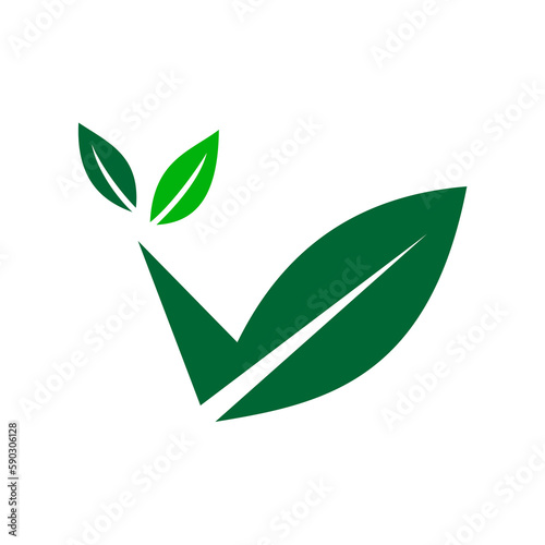Fotografía vegan logo template