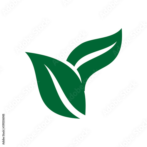 Cuadro en lienzo vegan logo template