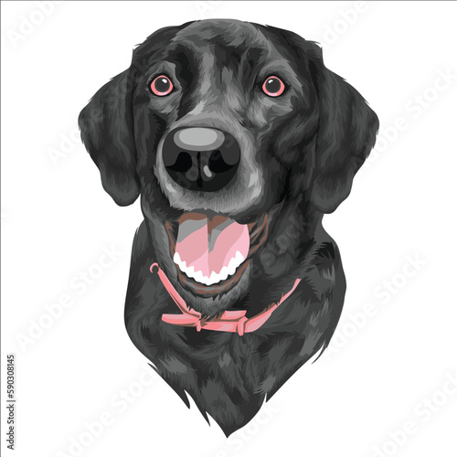 UNIQUE VECTOR CUTE PET DOG ILLUSTRATION