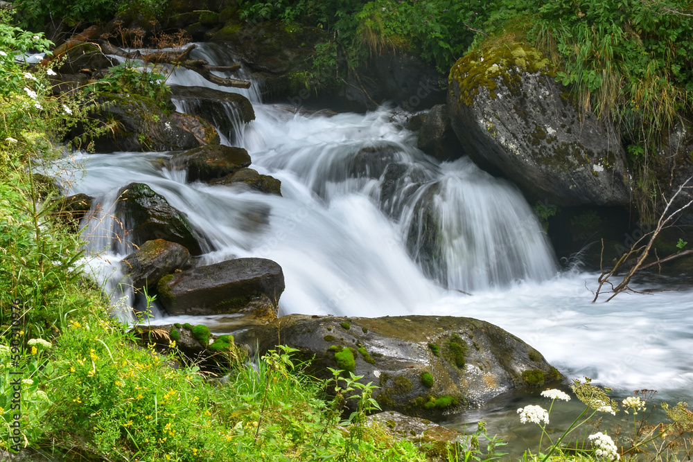 Fototapeta premium small creek in the mountains in Austria. Smooth water flows over stones.