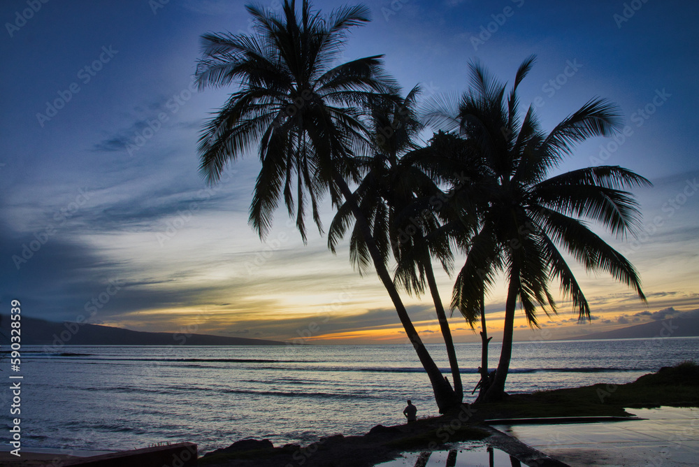 Tropical sunset at blue hour with palm trees and ocean backdrop.