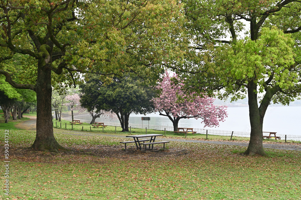 公園のベンチ 公園のベンチ