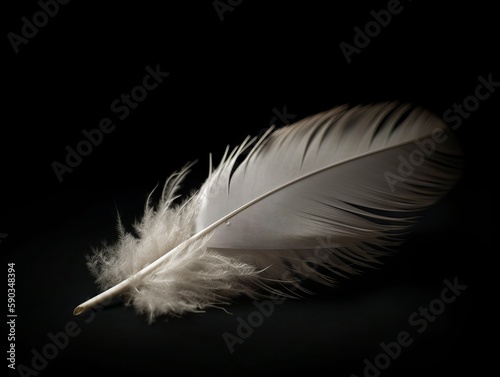 A single, white feather on a dark background