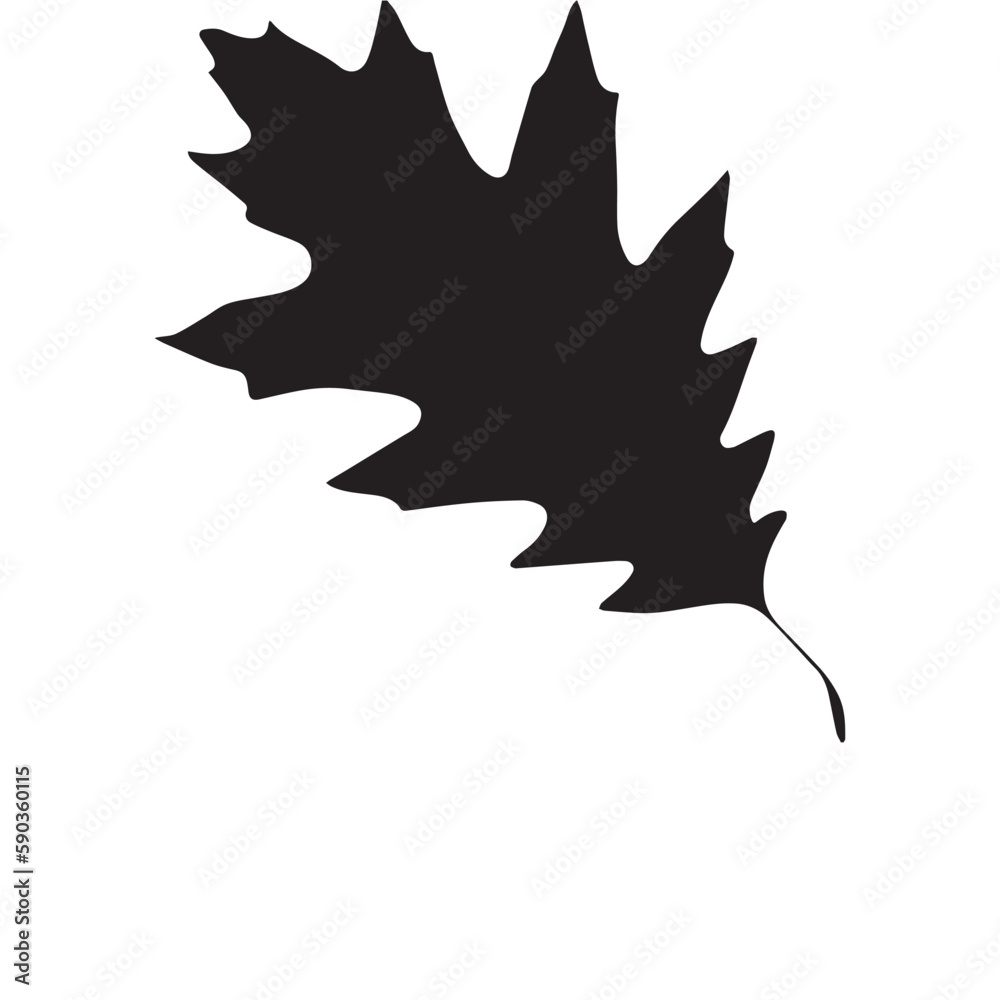 Autumn Leaves, fall leaf vector Autumn Leaves, fall leaf vector