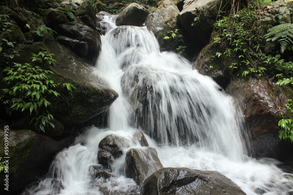 Fototapeta premium the current stream from benowo waterfall in Central Java Indonesia