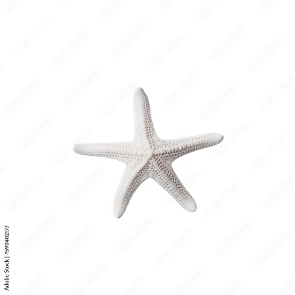 Fototapeta premium White starfish isolated over a transparent background, top view