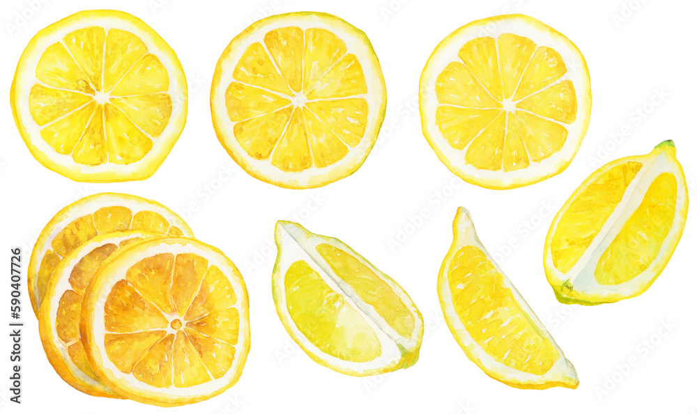 水彩画イラスト　くし切りのカットレモンとスライスレモン　素材集