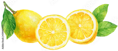 横並びのレモン カットレモンと輪切りのレモンと葉つきレモンの水彩画イラスト