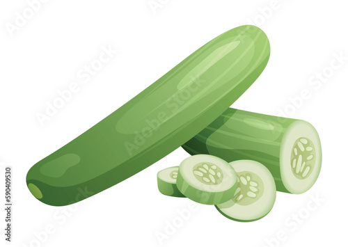 Set of cucumber whole, half and cut slice illustration isolated on white background