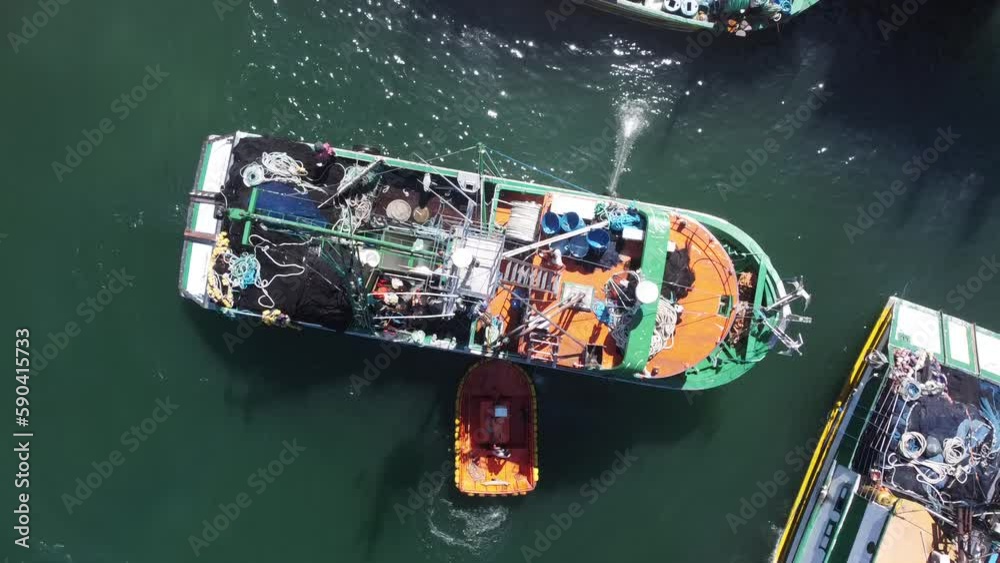 Barcos Pesca Pescadores Peixe Angra dos Reis Ilha Grande Rio de Janeiro Vila do Abraão Porto Estacionamento Docas Centro Cidade Costeira Litoral Navegação Navegar Pescar Atividade Pesqueira Trabalho