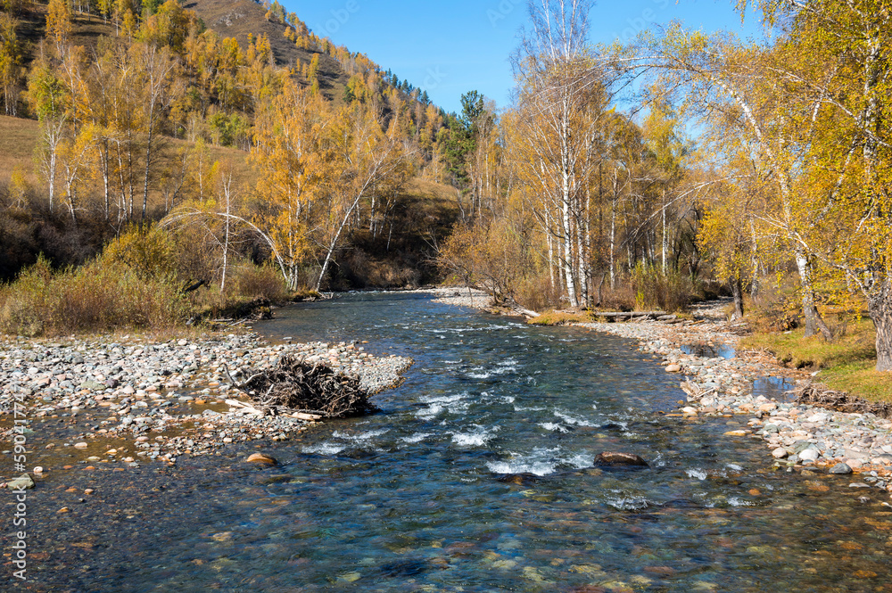 View of river in Altay mountains in the autumn View of river in Altay mountains in the autumn