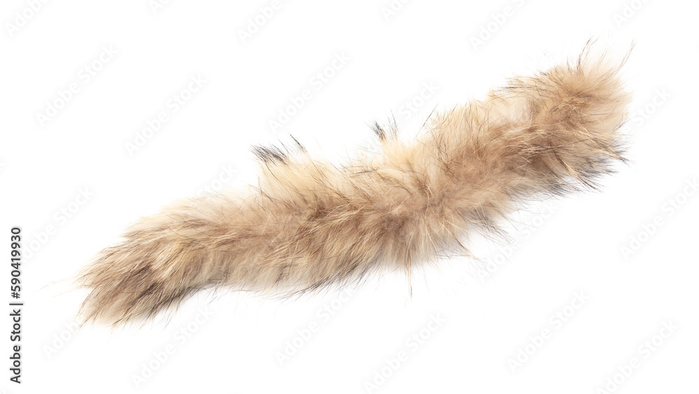 Animal fur isolated white background. Close-up